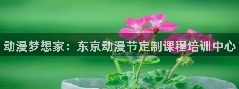 里番库_里番动漫：动漫梦想家：东京动漫节定制课程培训中心