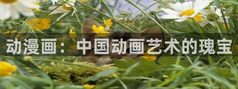 少女漫画之里番：动漫画：中国动画艺术的瑰宝