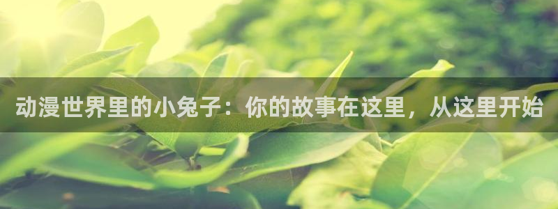 里番动漫 在线观看：动漫世界里的小兔子：你的故事在这里，从这里开始
