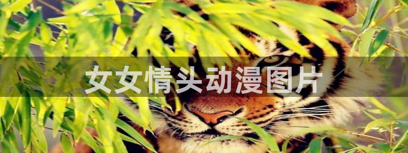 免费里番动漫网：女女情头动漫图片