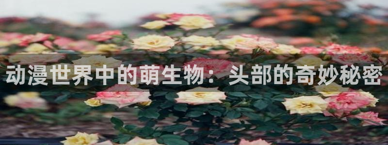 在线里番动画：动漫世界中的萌生物：头部的奇妙秘密