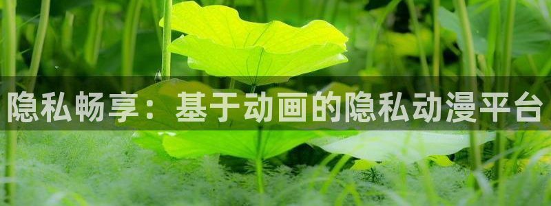 里番3d动漫在线观看：隐私畅享：基于动画的隐私动漫平台