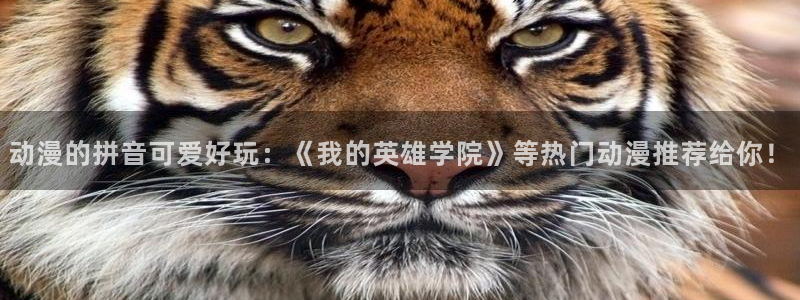 动漫里番推荐网站：动漫的拼音可爱好玩：《我的英雄学院》等热门动漫推荐给你！