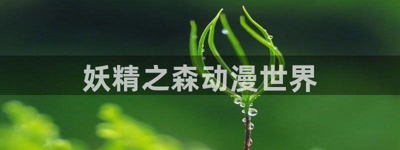 可以看里番的动漫网：妖精之森动漫世界