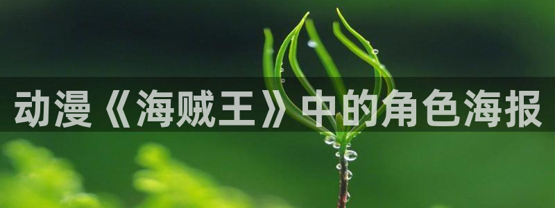 动漫里番动漫：动漫《海贼王》中的角色海报