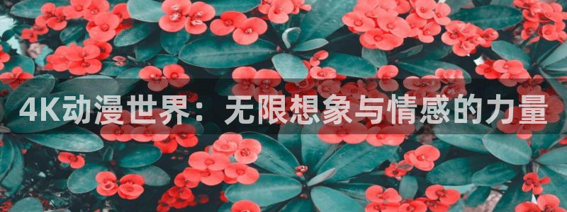 里番大全：4K动漫世界：无限想象与情感的力量