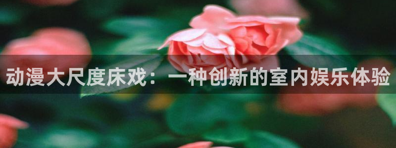 日本里番无翼鸟漫画：动漫大尺度床戏：一种创新的室内娱乐体验
